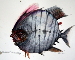 Der Narrenkappenpiranha